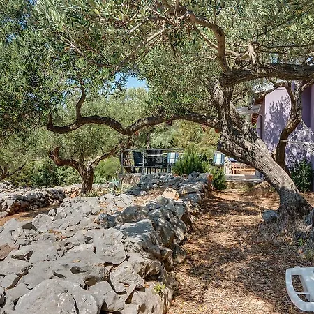 Nikol Holiday home *