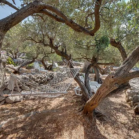 Nikol Holiday home *