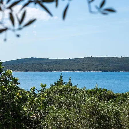 Nikol * Lussingrande