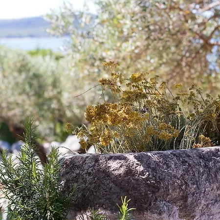 Nikol Casa vacanze Lussingrande