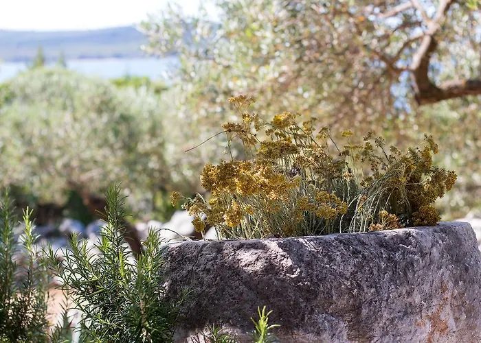 Nikol Holiday home Veli Losinj